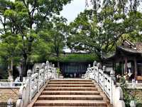 蓮花池公園 尋覓鬧市中的一刻寧靜。