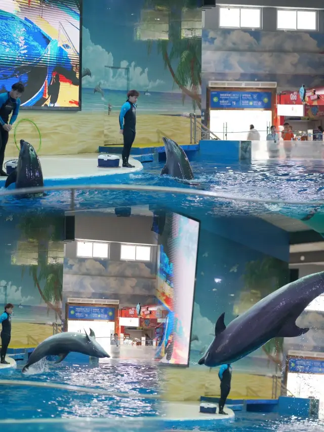 南京海底世界遛娃攻略來了！！。