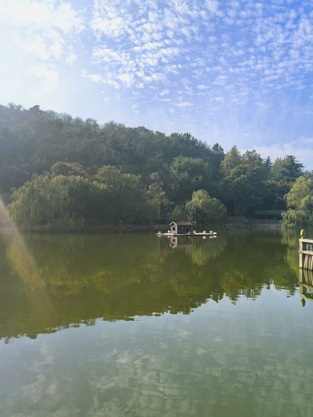 青島北嶺山森林公園野趣十足的秘密基地。 青島北嶺山森林公園野趣十足的秘密基地。