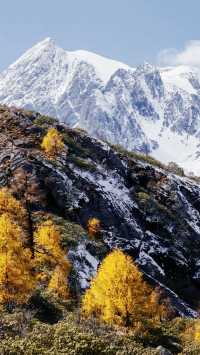 則巴村是否小眾網紅打卡地。