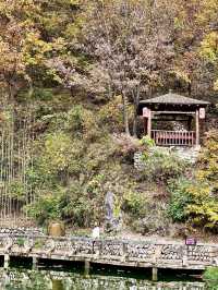 終南山寨。