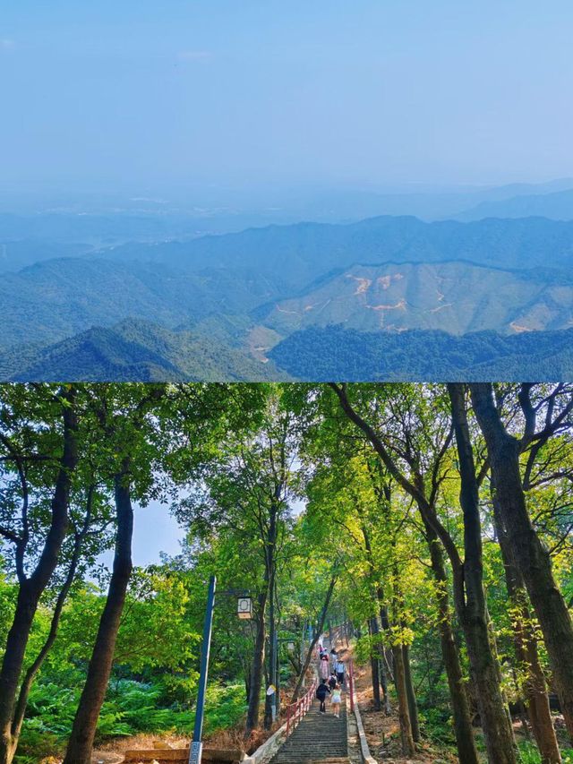 佛山旅遊攻略。