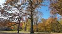 Autumn in a fairy tale! New York · Prospect Park!! 
