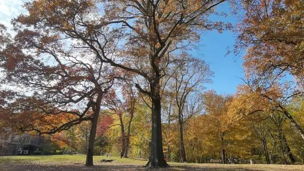 Autumn in a fairy tale! New York · Prospect Park!! 