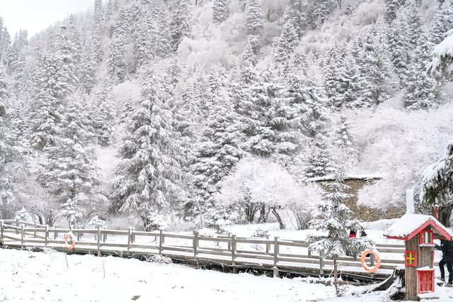 雪後的達古湖，像一場安靜的夢。