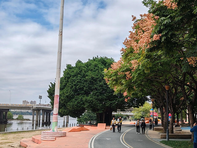 福建福州閩江公園 ｜ 探秘閩江風光，領略榕城魅力。