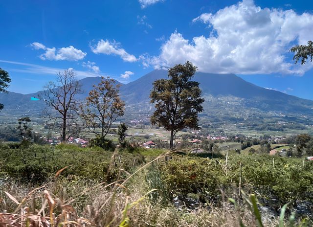 感受登山的魅力｜印度尼西亞巴東馬拉皮火山。