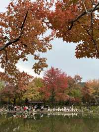 11月25日 天平山實況， 暫不前往。