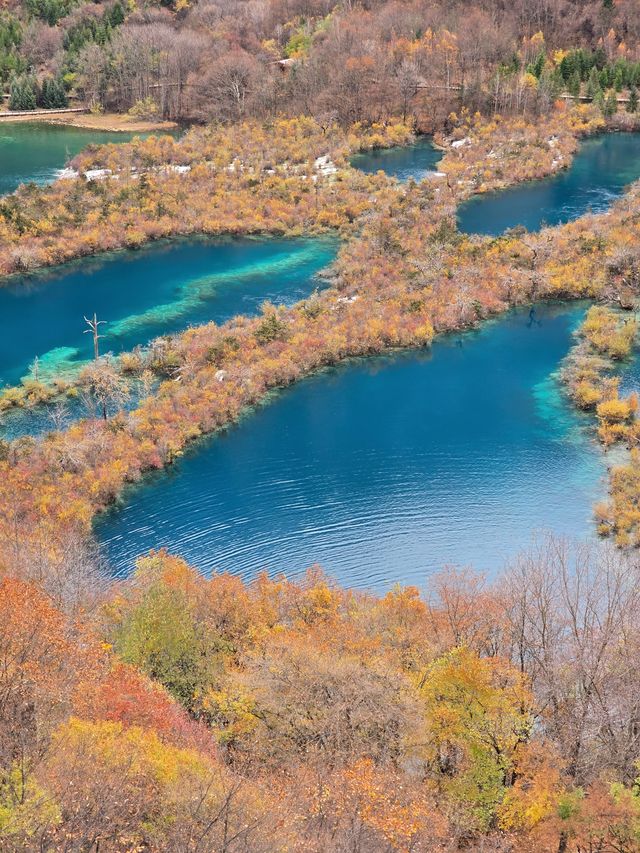 九寨溝兩日遊。