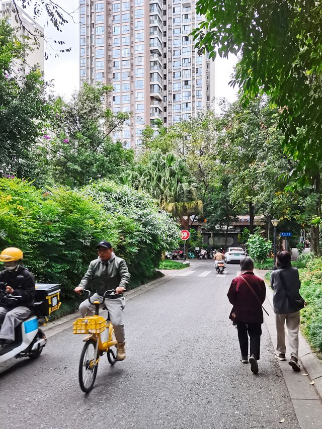 成都沙河公園 | 城市中的綠野仙蹤。