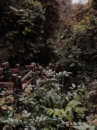 內江市石板河景區 | 避暑遊玩好去處。