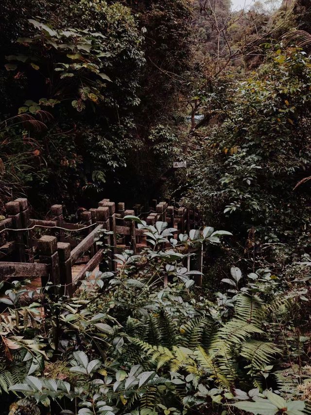 內江市石板河景區 | 避暑遊玩好去處。