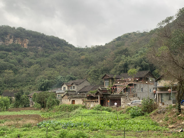 爸爸去哪兒一雨補魯天坑。