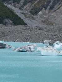 新西蘭12日親子旅行 孩子都不想回家了。