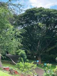 拉巴克植物園：周末的寧靜綠洲，與自然的親密接觸。