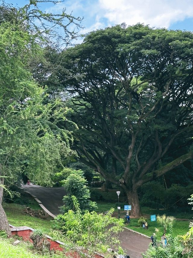 拉巴克植物園：周末的寧靜綠洲，與自然的親密接觸。