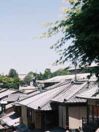 秋遊日本正當時超全攻略速覽
