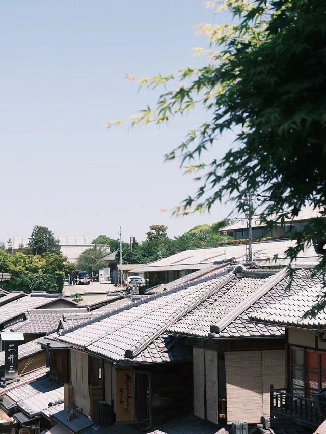 秋遊日本正當時超全攻略速覽