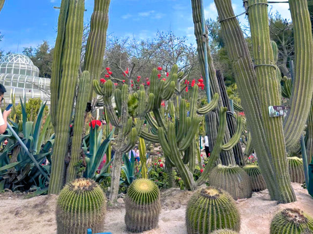 廈門園林植物園：都市中的綠色仙境