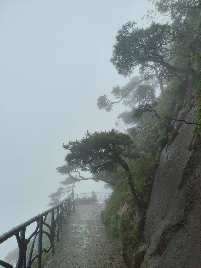 江西三清山｜三清盛景，峰奇雲繞韻無窮