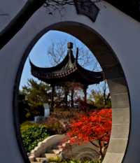 打卡濱江森林公園滈園