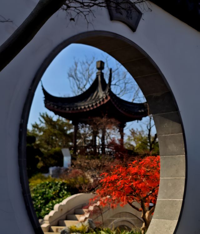 打卡濱江森林公園滈園