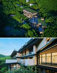 湖州·慧心谷承包整片茶山的全景別墅酒店