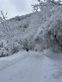 西安秦嶺｜最美不過的第一場雪景