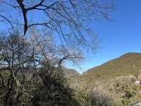 深冬的濟南靈岩寺常來靈岩，事事靈驗