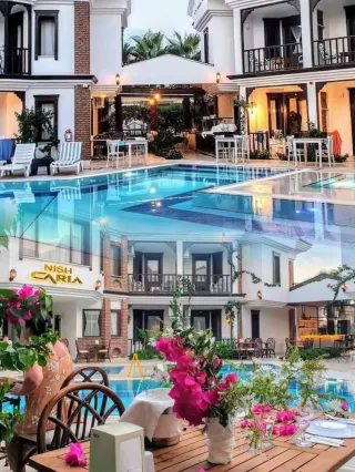 Yalangoch sargish gozallik