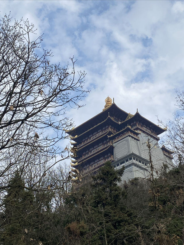 武漢周邊2小時車程，帶小朋友去山裏度個小假～