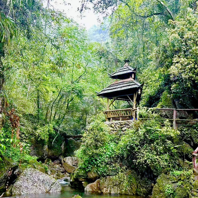 🌆 Qingchengshan Scenic Spot