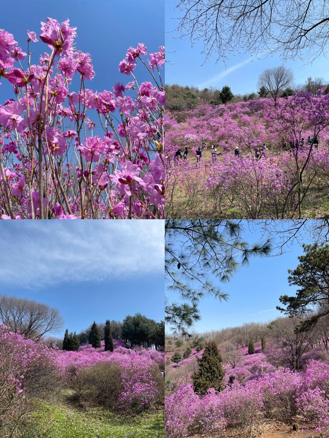 利川市：韓式風情的詩意棲居地