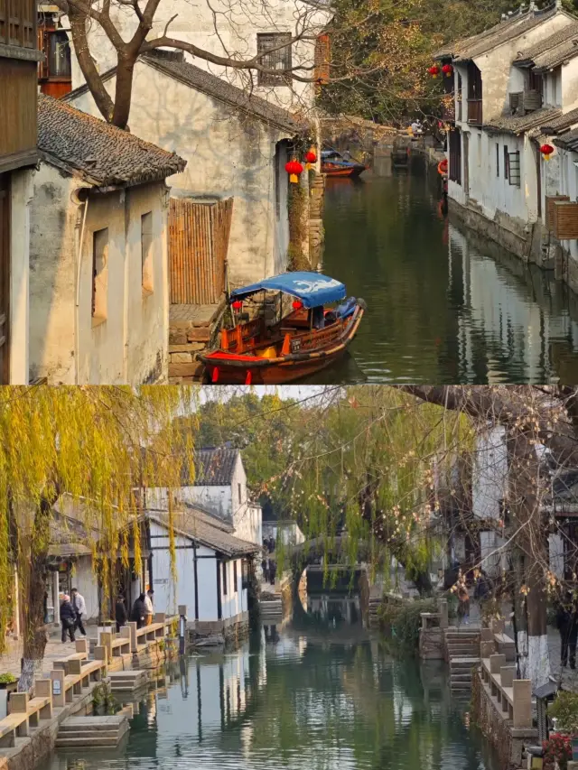 주장 고진·반일 투어·무료 입장