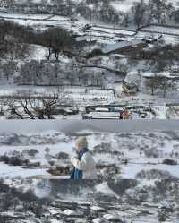 來烏蘭布統看雪了