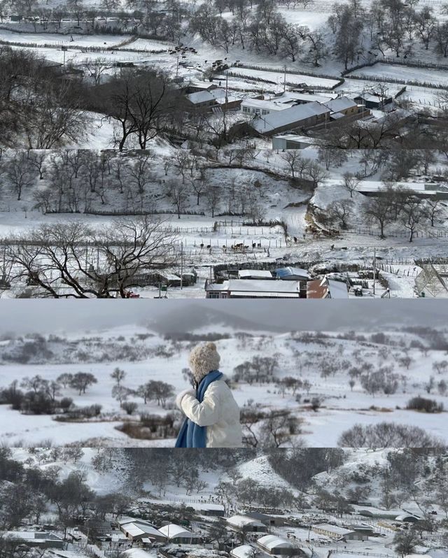 來烏蘭布統看雪了