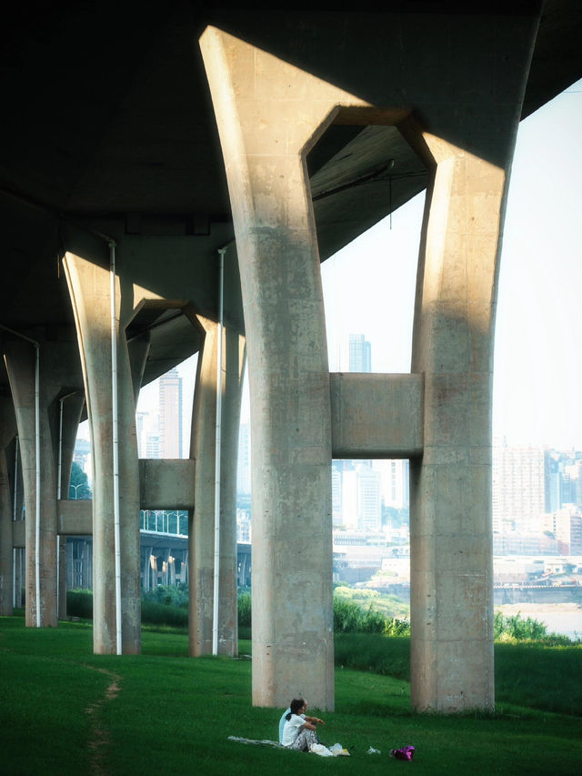 Chongqing’s Riverside Grass Sea is Stunning | Seasonal Limited Views 📷