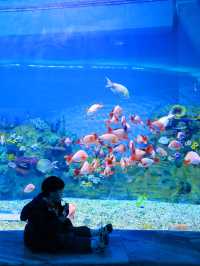 江浙滬遛娃徐州歐樂堡兩天一晚親子遊