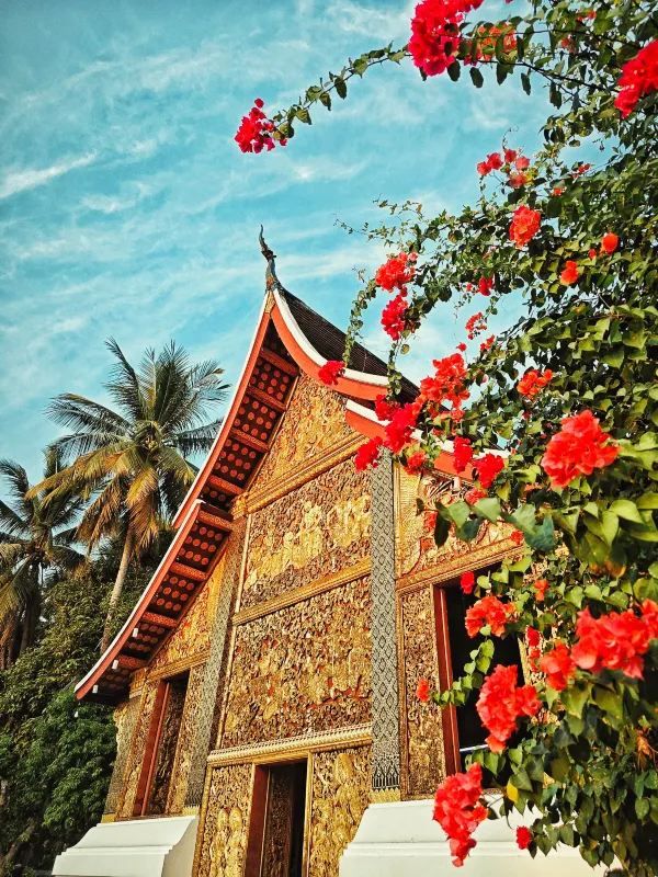 Discover the Charm of Wat Xieng Thong