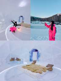 北海道|住星野TOMAMU度假村嘅冰屋要幾多錢?