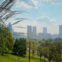 "我在桂溪生態公園待了20分鐘，居然發生了這種變化！"