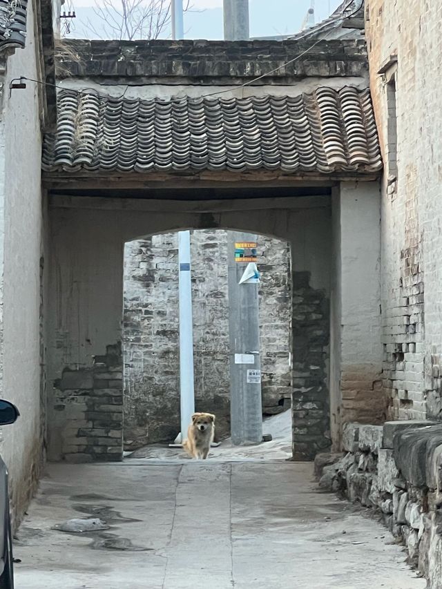 春節反向遊成功了……？山西晉城
