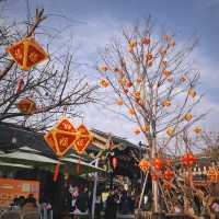 一人去旅行｜到處都是人，沙坪壩區磁器口古鎮太有年味兒了，很熱鬧