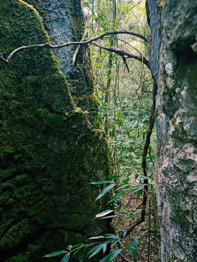 Jindaoxia Adventure: A Trilling Canyone World