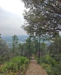 荊州黃山頭國家森林公園