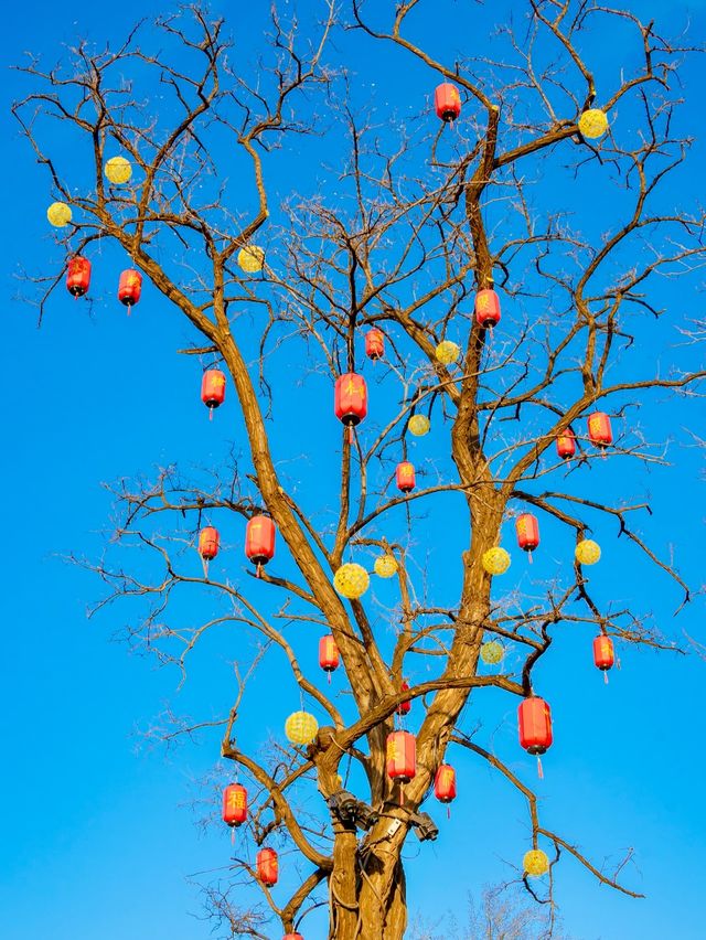 元宵賞燈會好去處，模式口大紅燈籠高高掛