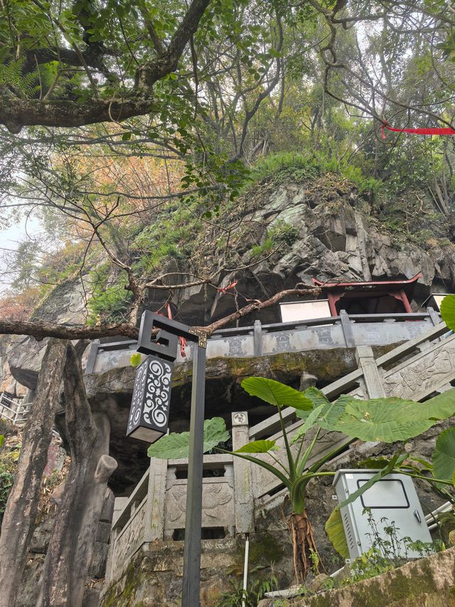 春來尋夢石竹山