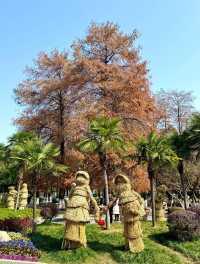 武漢必去之中山公園風已有了鬱金香的味道