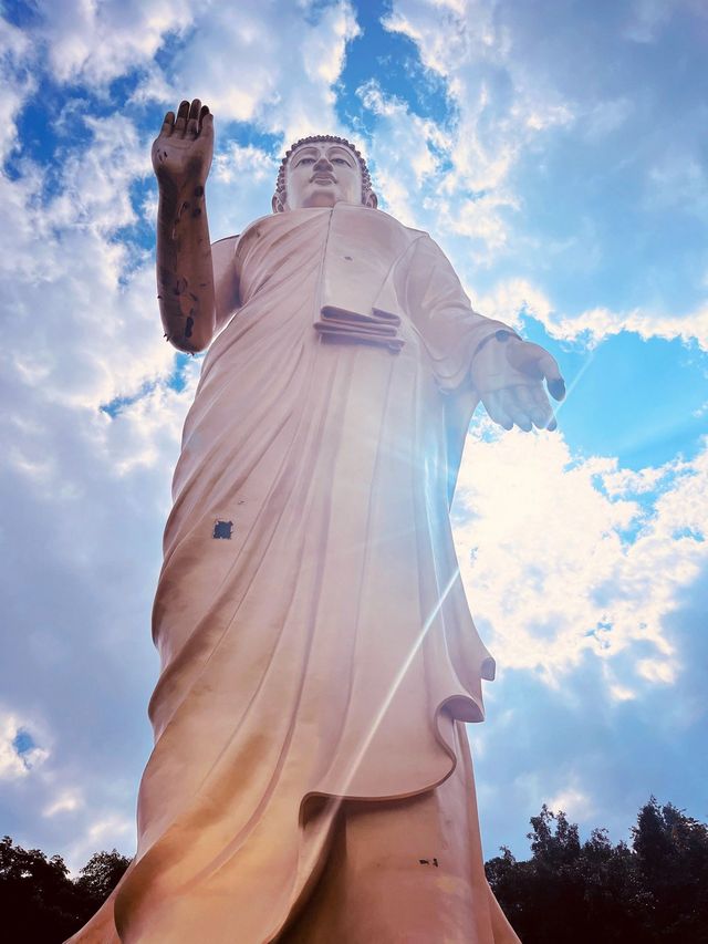 冬日避寒聖地雲南西雙版納-普洱旅遊攻略來啦