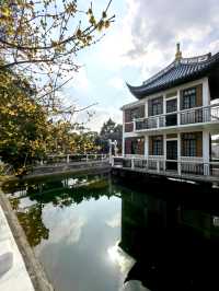 桂林公園探梅記